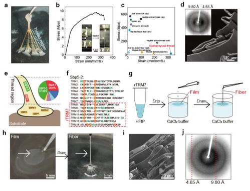 近期生物材料顶刊成果中的磁电及磁性材料研发进展汇总